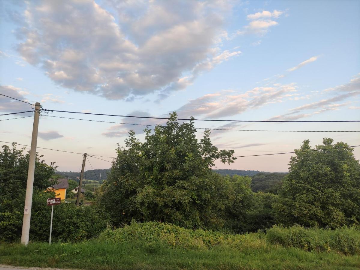 Kraljeva Hiza - Apartmani I Sobe Kralj Sveti Martin Na Muri Buitenkant foto