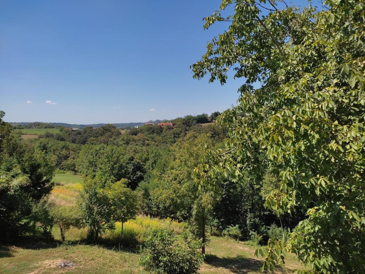 Kraljeva Hiza - Apartmani I Sobe Kralj Sveti Martin Na Muri Buitenkant foto