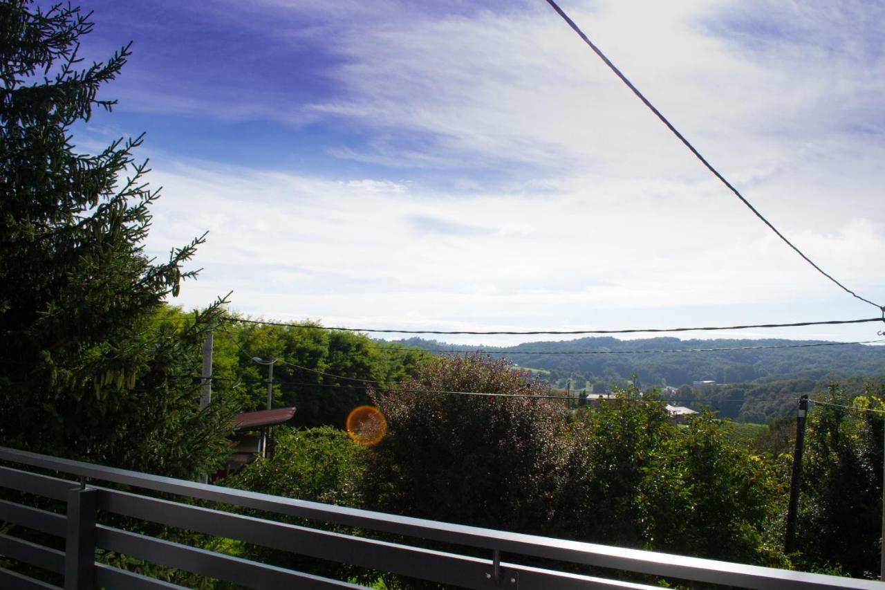 Kraljeva Hiza - Apartmani I Sobe Kralj Sveti Martin Na Muri Buitenkant foto