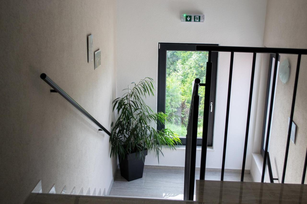 Kraljeva Hiza - Apartmani I Sobe Kralj Sveti Martin Na Muri Buitenkant foto