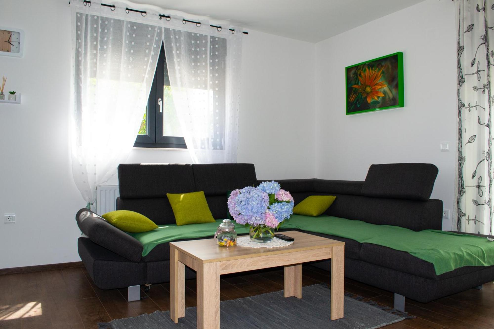 Kraljeva Hiza - Apartmani I Sobe Kralj Sveti Martin Na Muri Buitenkant foto