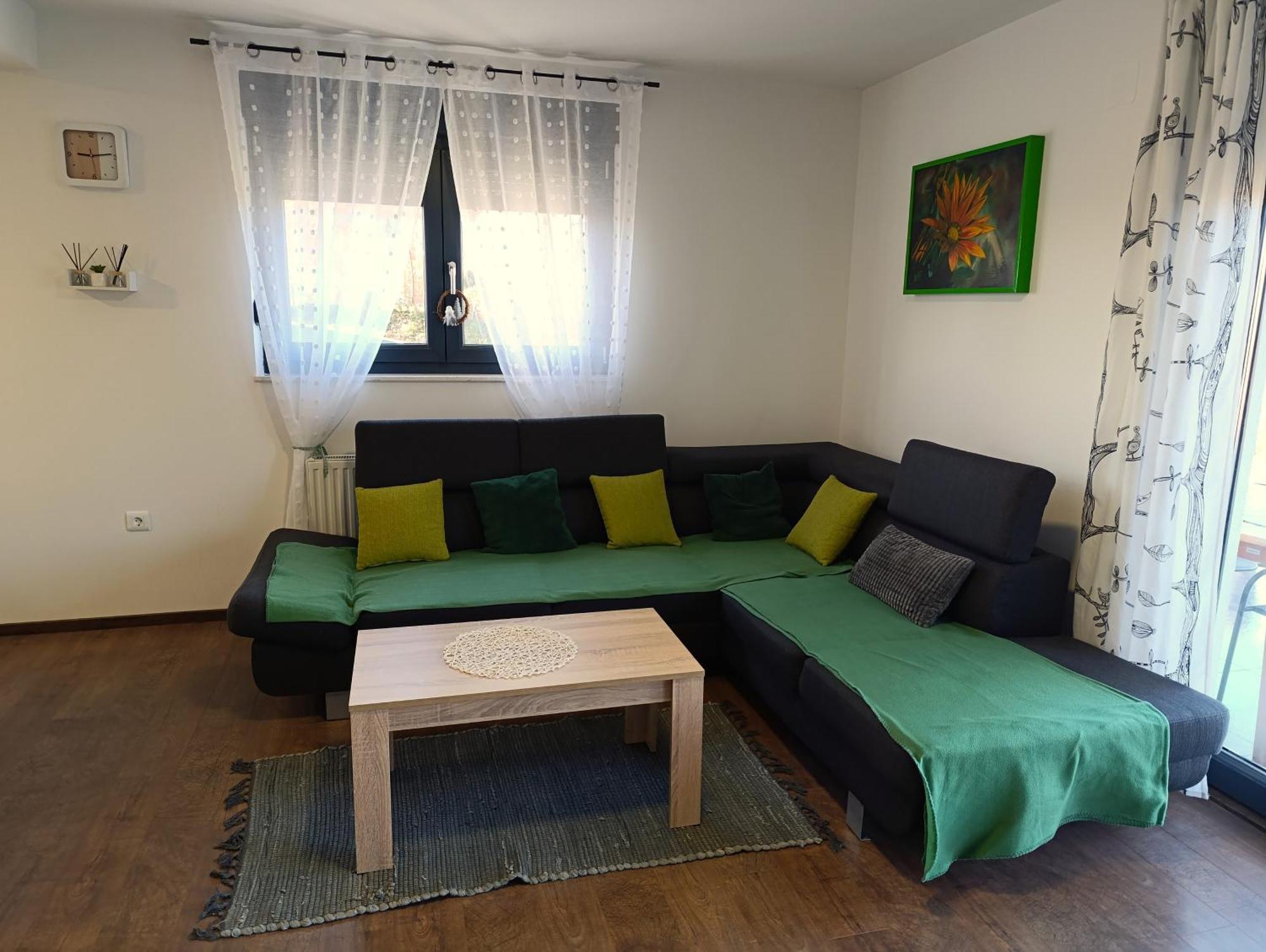Kraljeva Hiza - Apartmani I Sobe Kralj Sveti Martin Na Muri Buitenkant foto